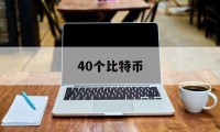 40个比特币(40个比特币值多少钱)