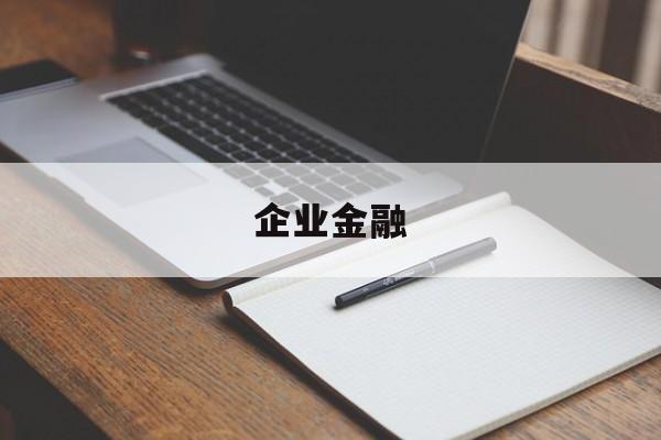 企业金融(企业金融化)