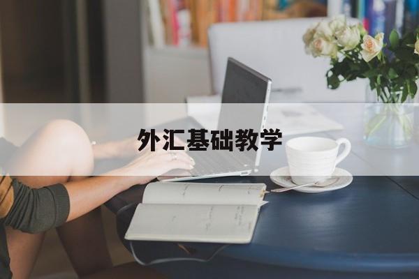 外汇基础教学(外汇教学指南 入门)